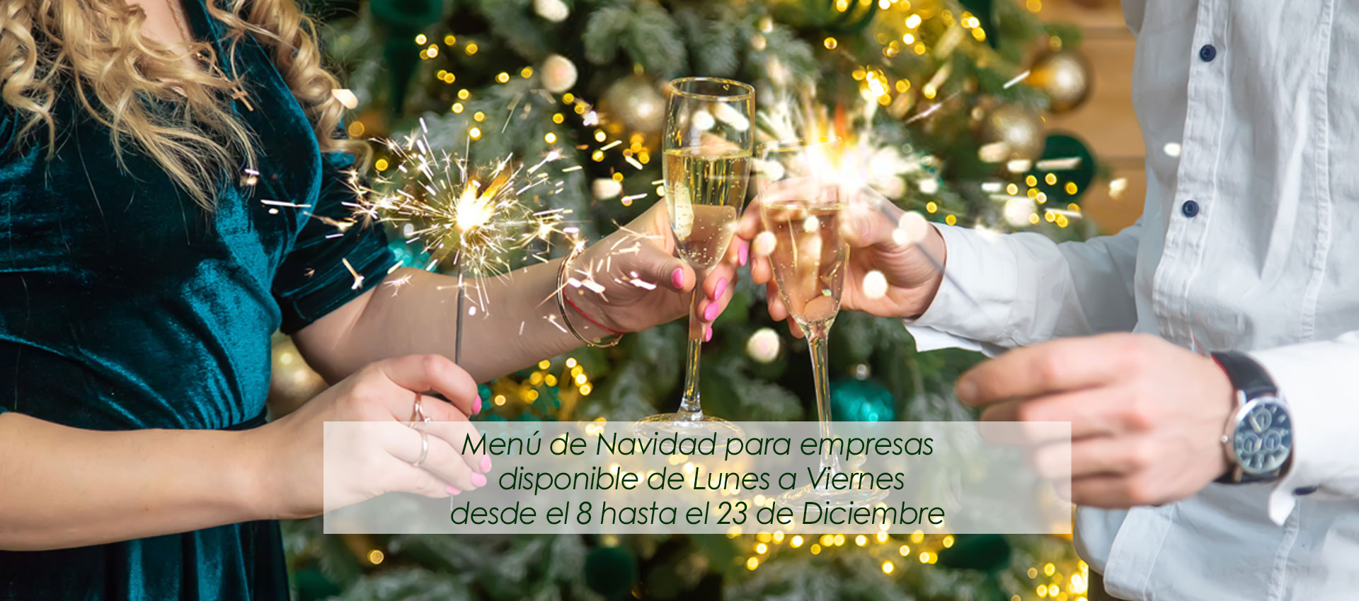 Restaurante Los Cedros | Cenas para empresas de navidad en Madrid
